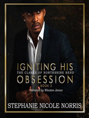 cover image of Igniting His Obsession